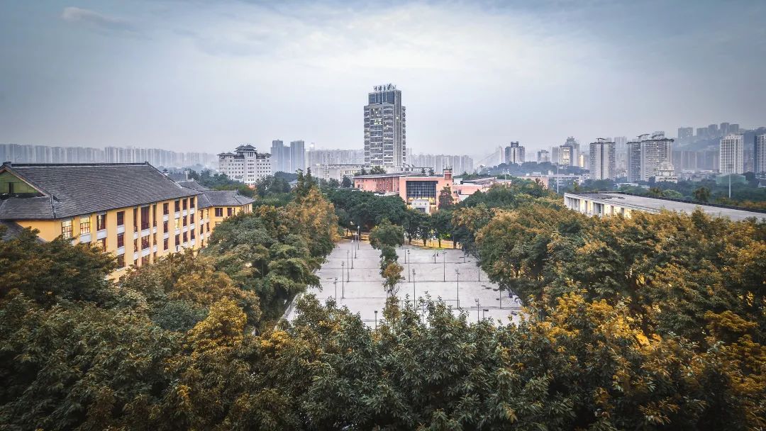 重庆大学本科毕业要求