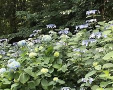 广西大学文凭在陕西认可吗