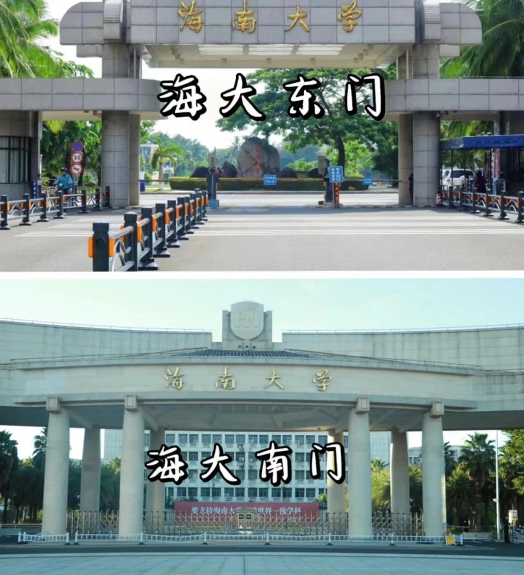 海南大学录取分数线2024年