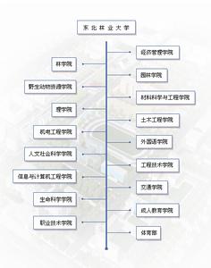 东北林业大学较高收费毕业证