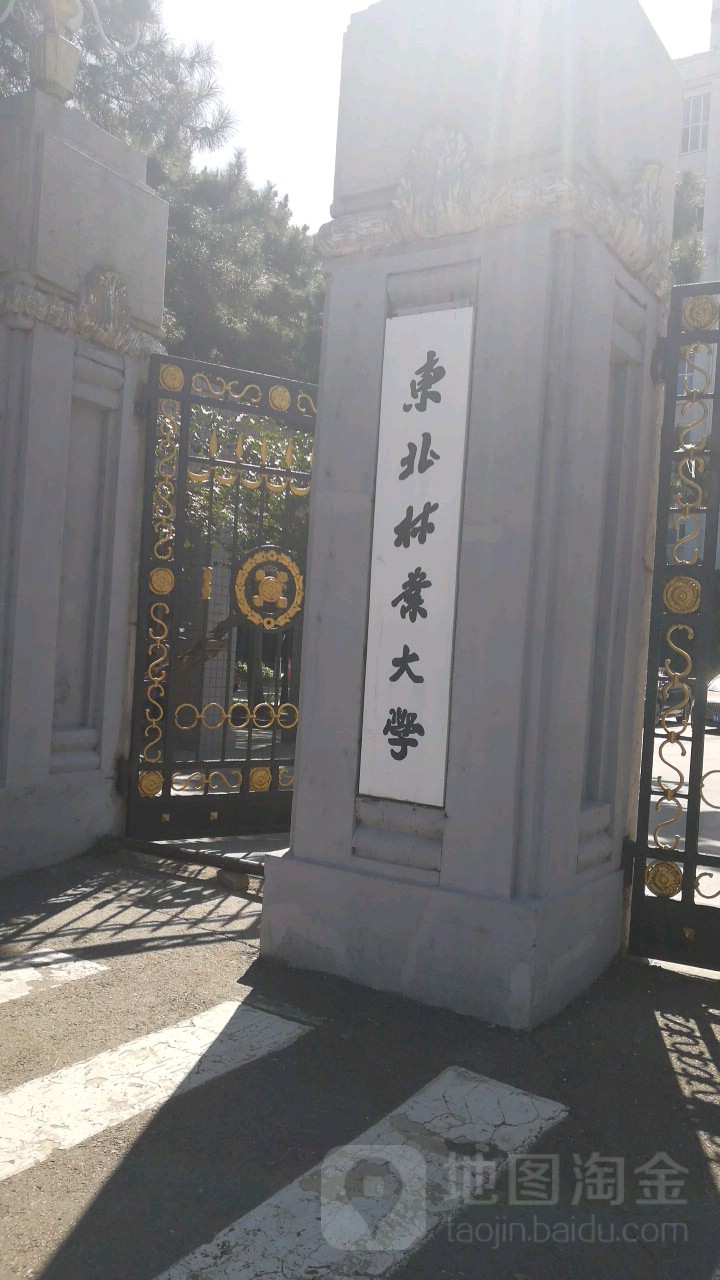 东北林业大学较高收费毕业证