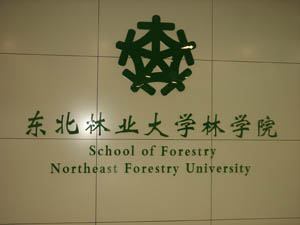 东北林业大学继续教育学院毕业证