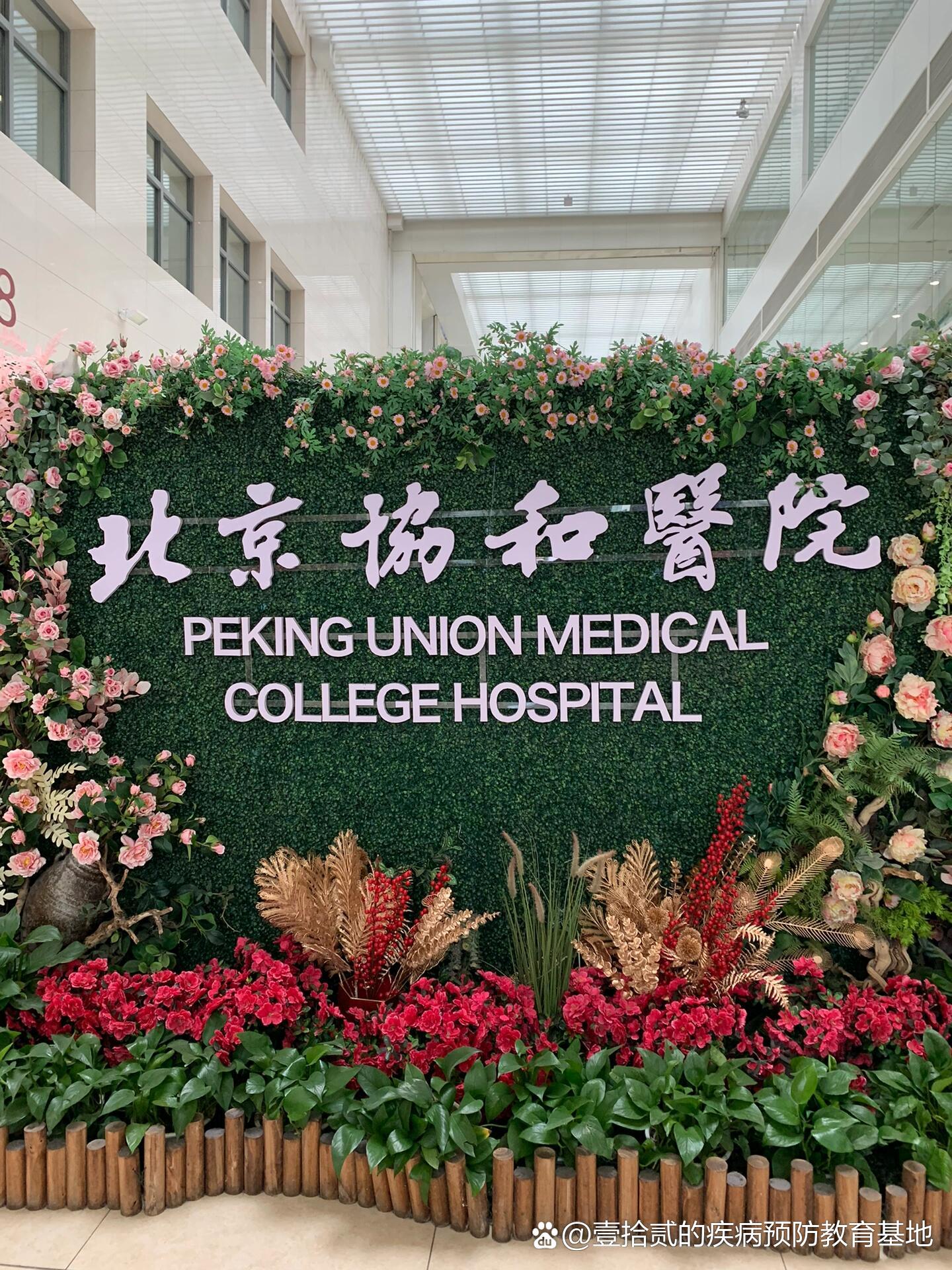北京协和医学院2025招生计划