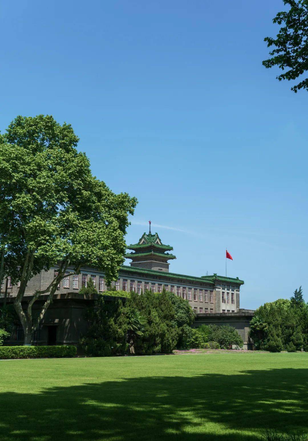 南京农业大学是985还是211