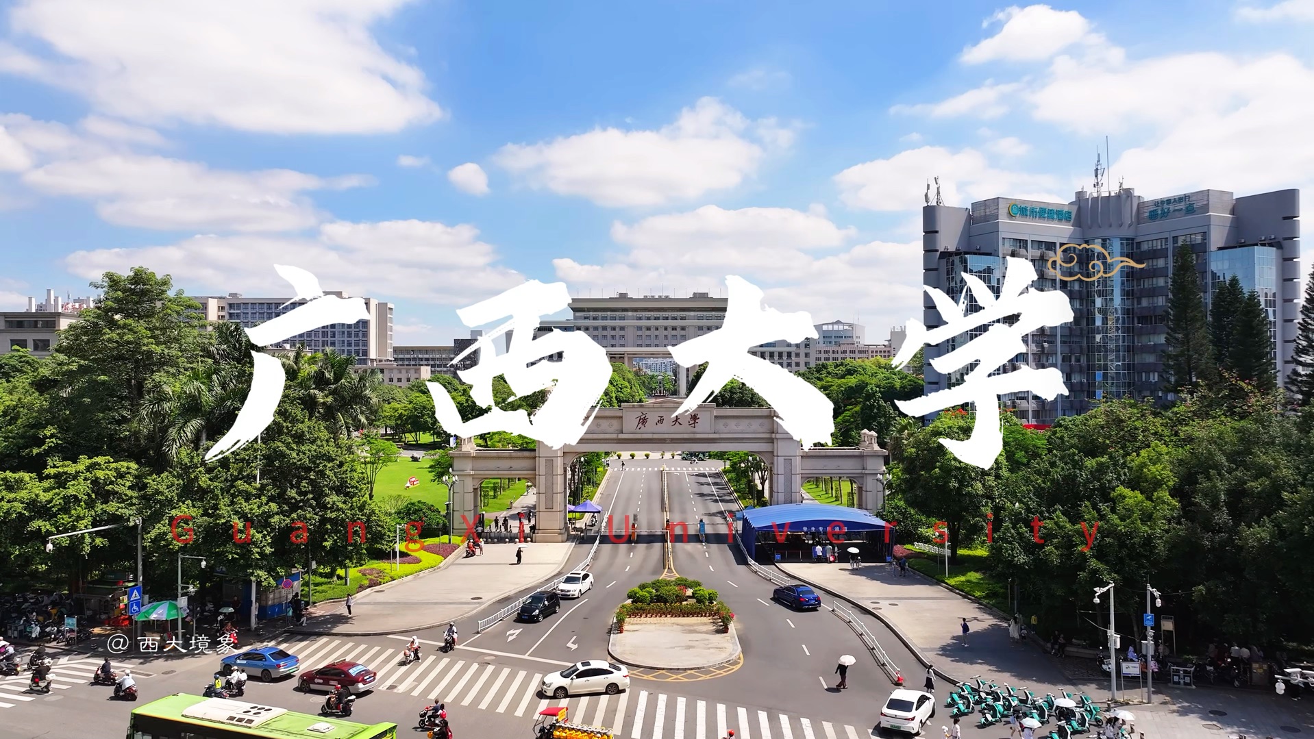 广西大学录取分数线2025