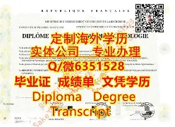新疆大学的文凭内地认可吗