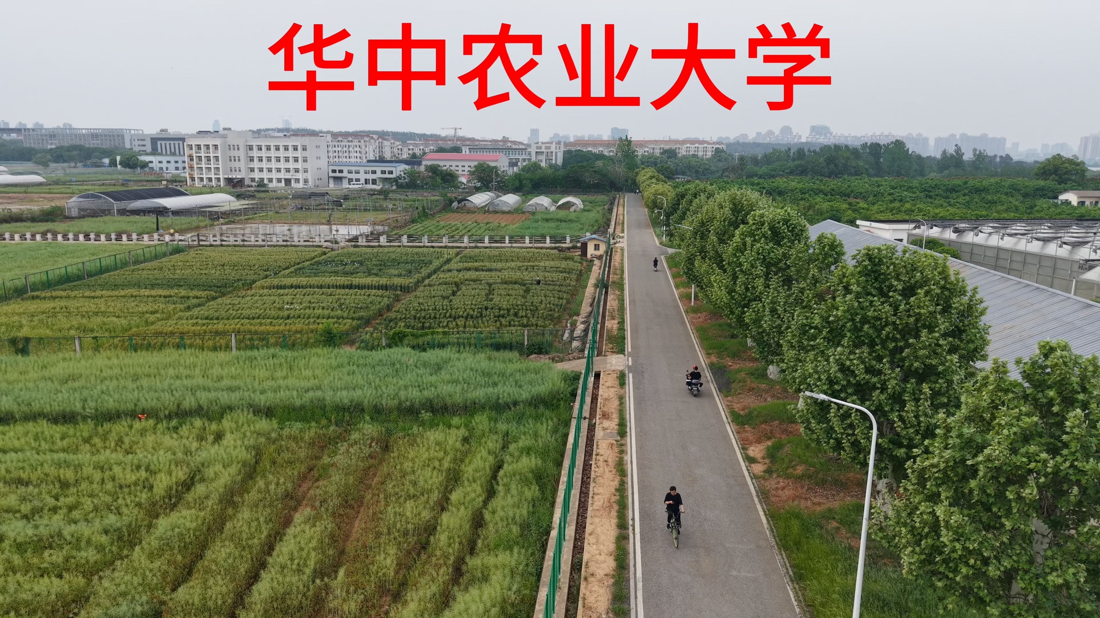 华中农业大学植物科学技术学院