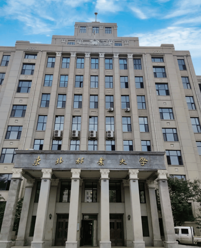 东北林业大学录取分数线2025年 东北林业大学录取分数线2025年