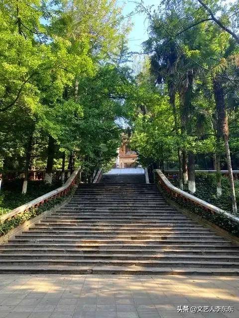 云南大学本科生 云南大学本科生